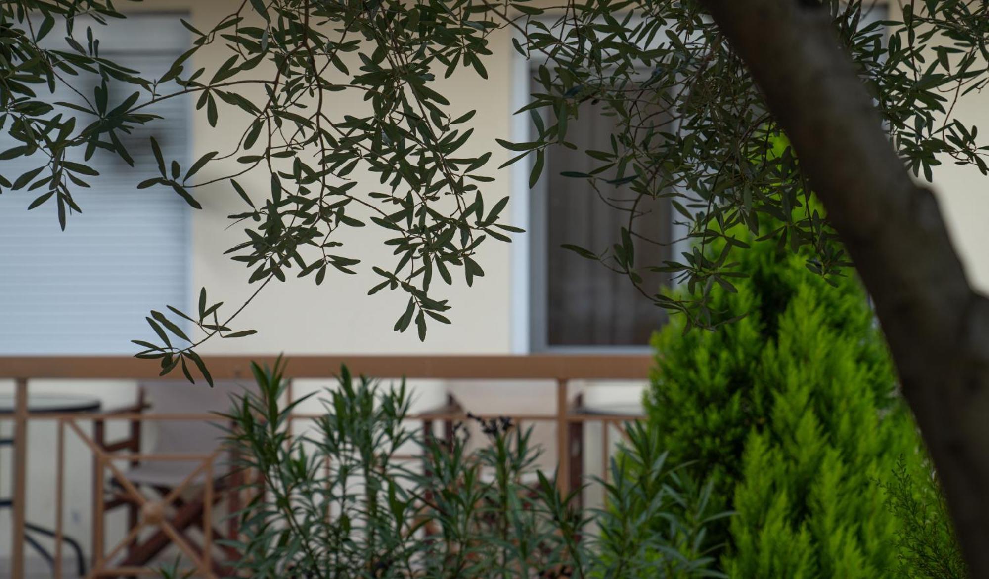 Guesthouse Adonis Káto Loutrákion Buitenkant foto